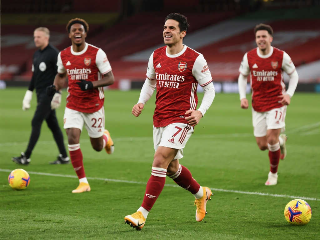 赛提供了参 赛提供了参