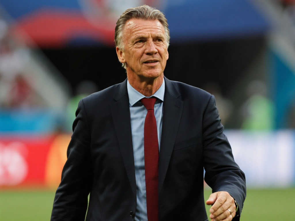 不局限于为 不局限于为