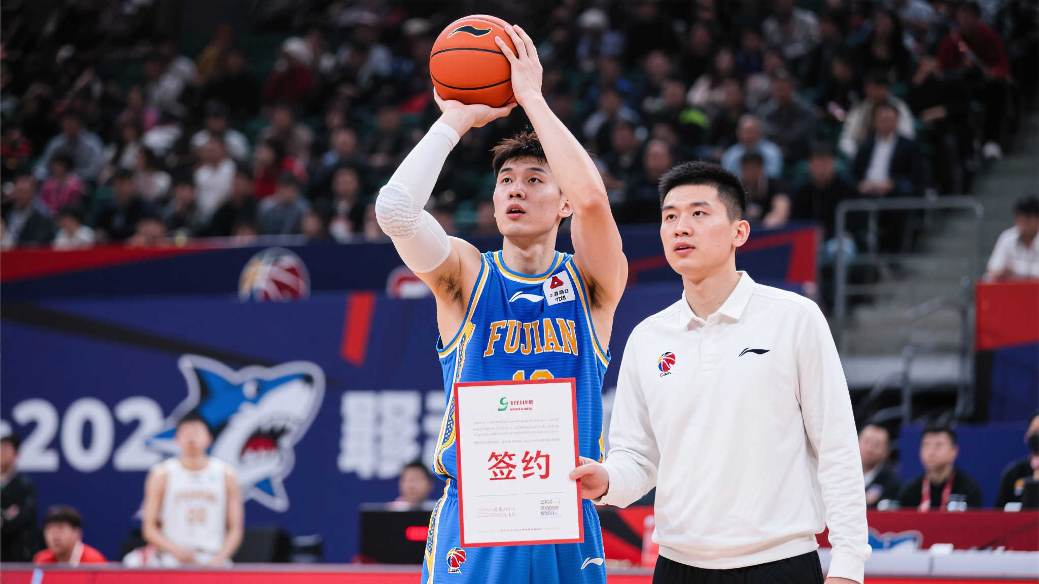 这也是波尔 这也是波尔